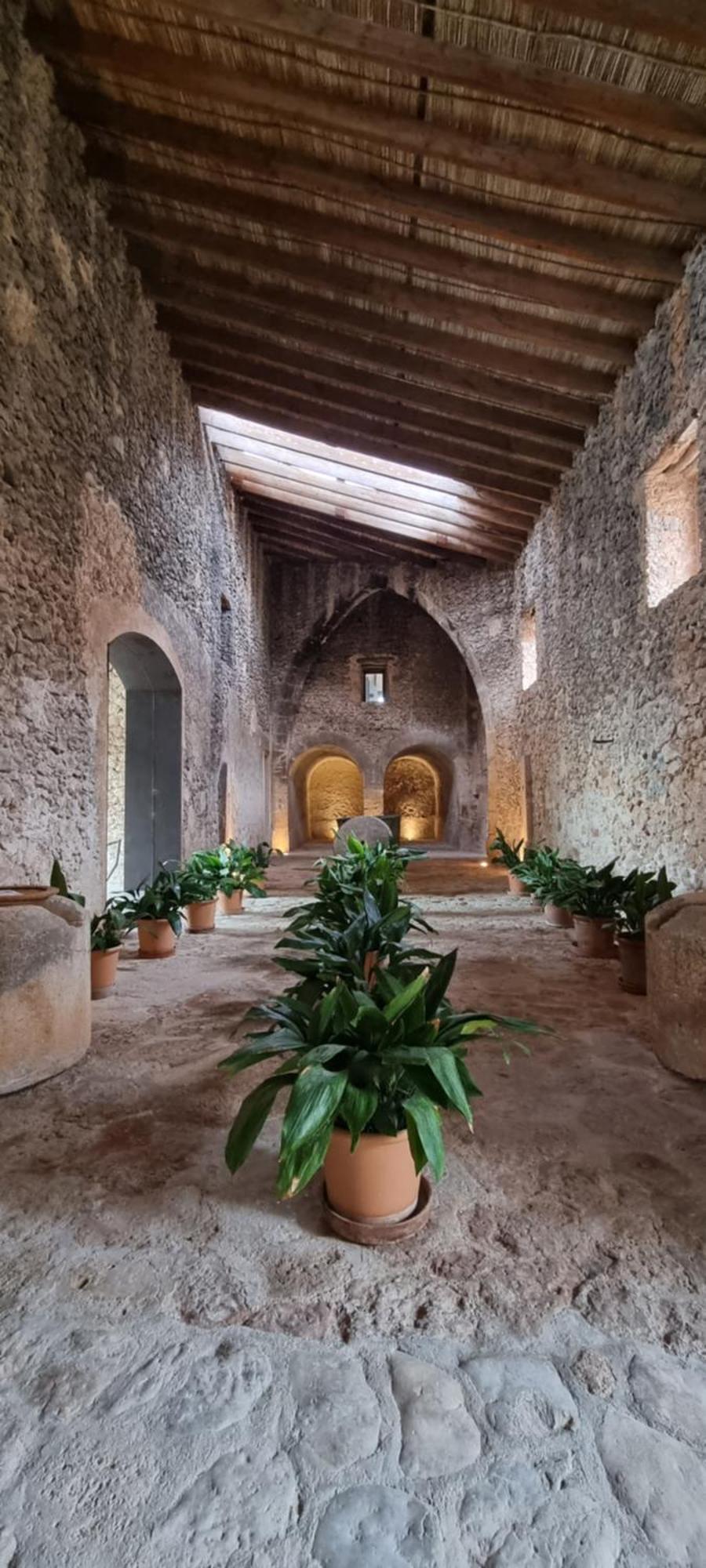 Finca Es Cabas Santa Maria del Cami  Exteriér fotografie
