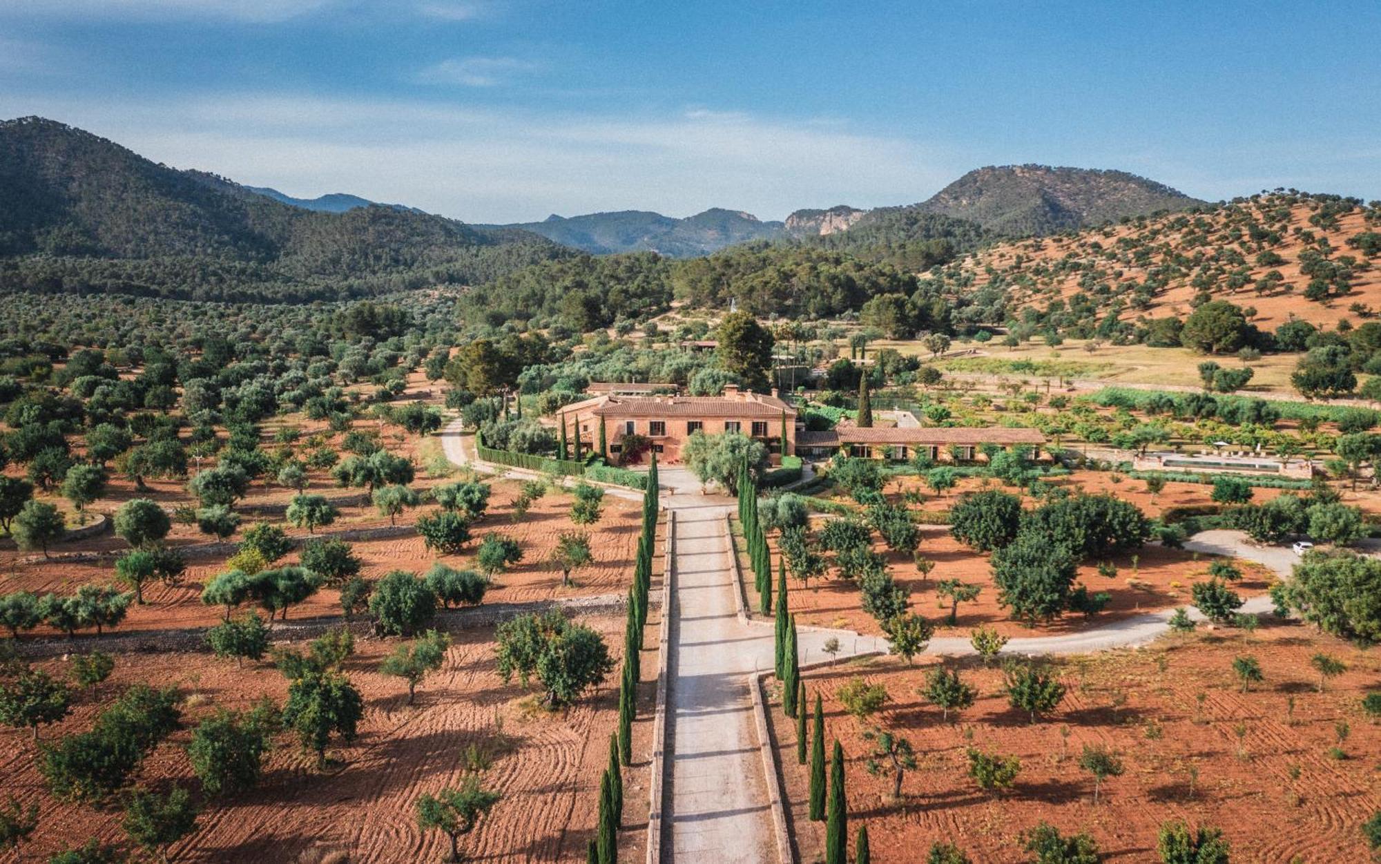 Finca Es Cabas Santa Maria del Cami  Exteriér fotografie