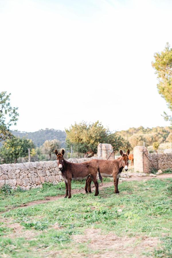 Finca Es Cabas Santa Maria del Cami  Exteriér fotografie