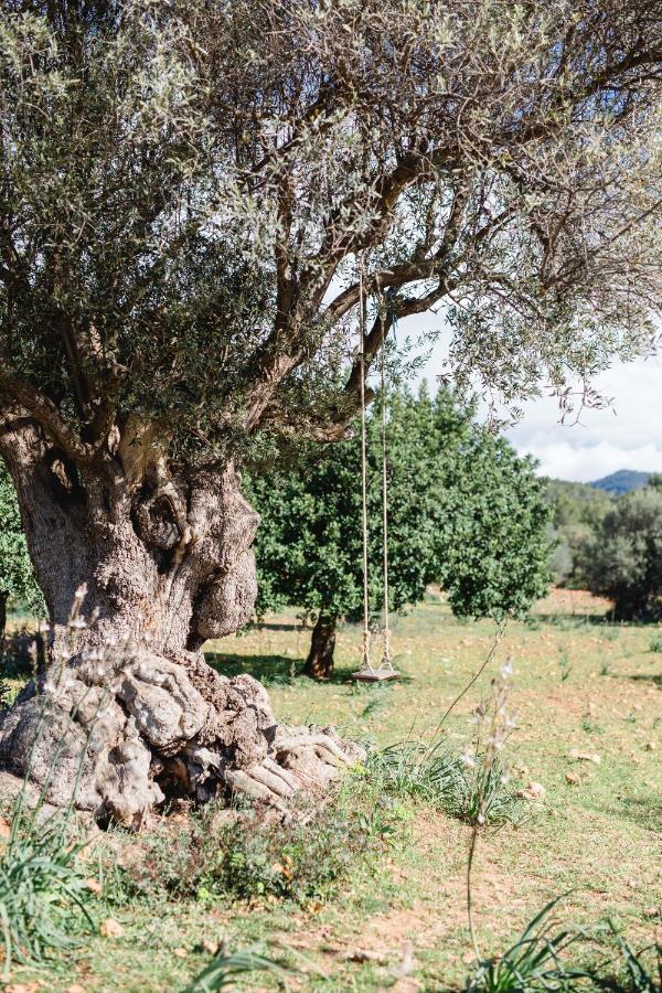 Finca Es Cabas Santa Maria del Cami  Exteriér fotografie