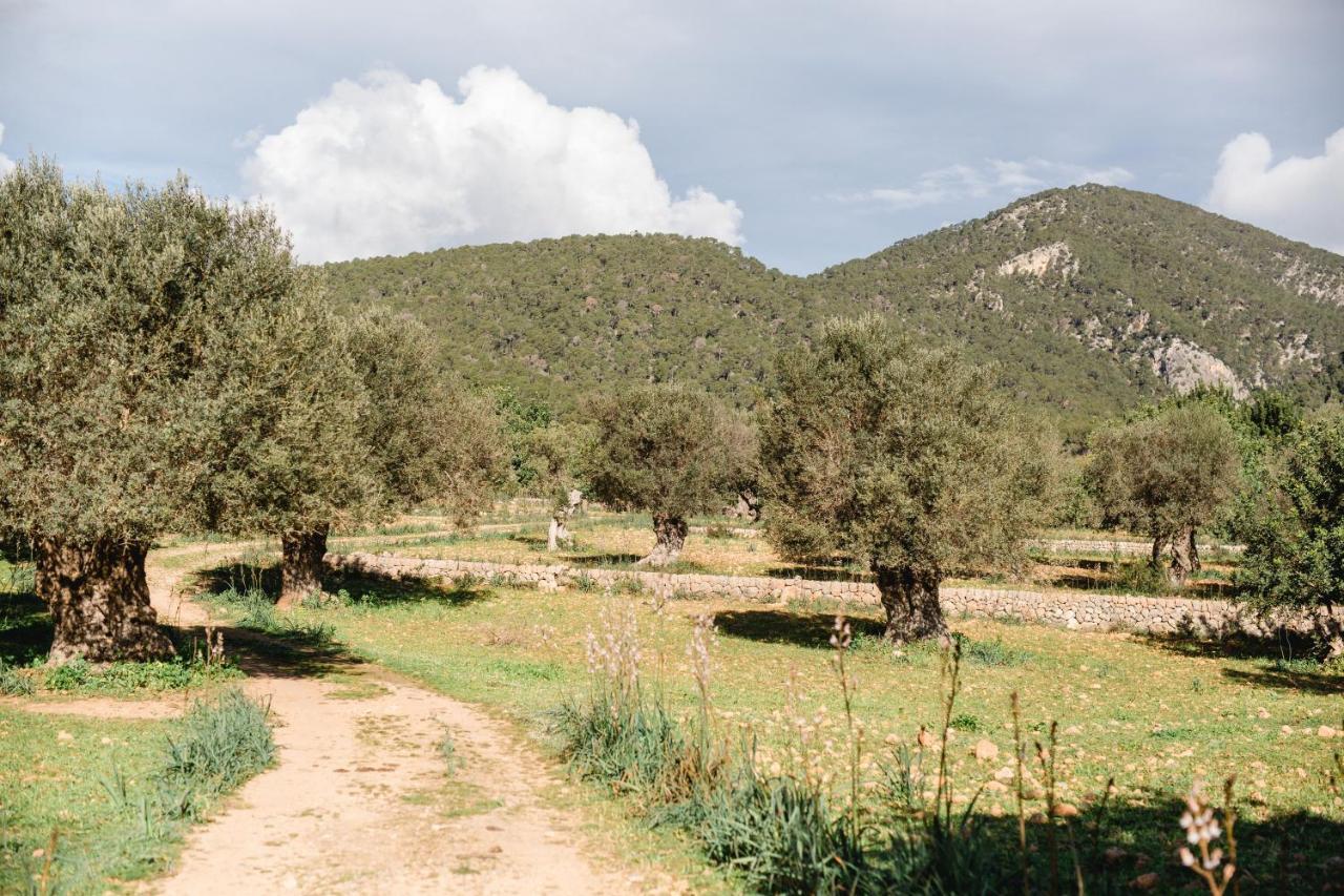 Finca Es Cabas Santa Maria del Cami  Exteriér fotografie